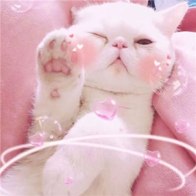 عبدالرحمن خان avatar
